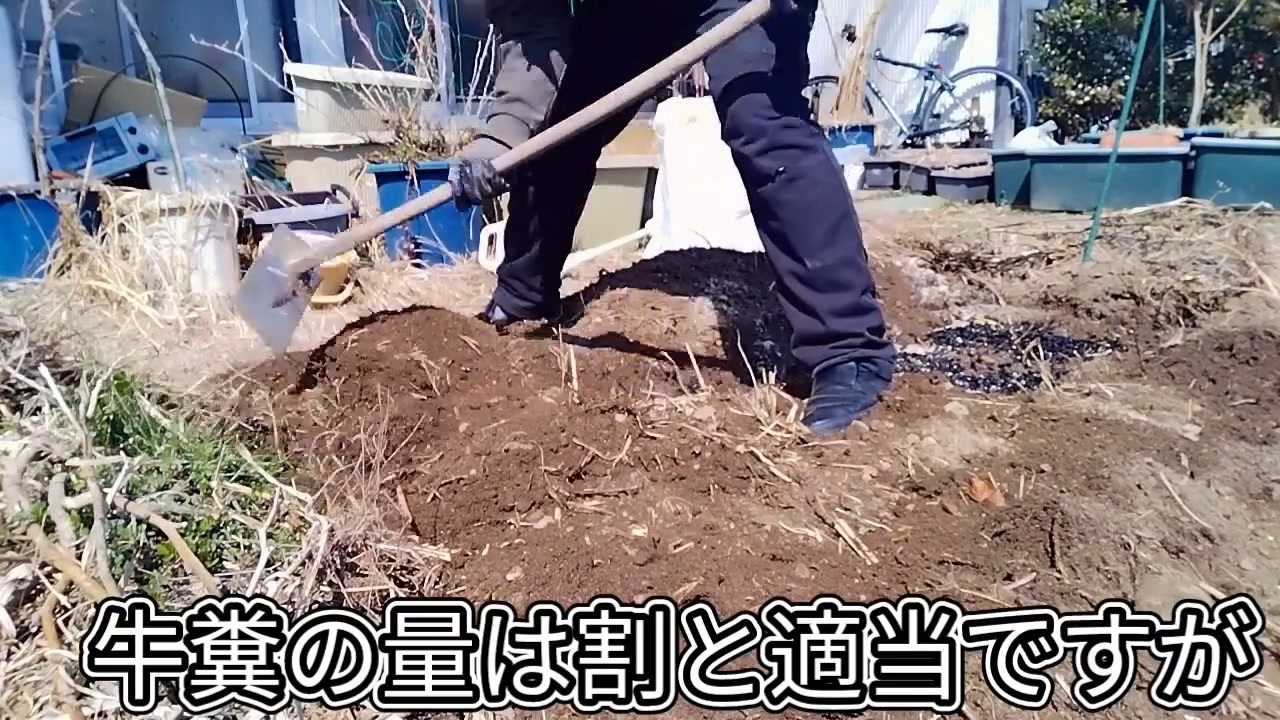 第4期カツドンチャンネル　アマゾンギフトで戴いた牛糞堆肥で土作り(＋球根移植) - ニコニコ動画
