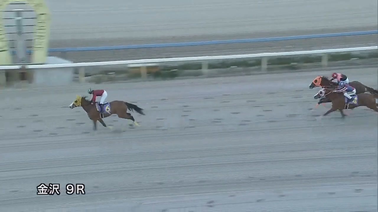 2023年3月19日金沢競馬9R 若駒賞(準重賞・3歳主催者認定馬・実績馬) ショウガタップリ ニコニコ動画