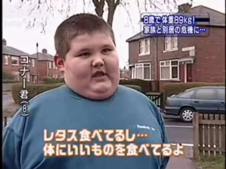 萵苣肥満前線