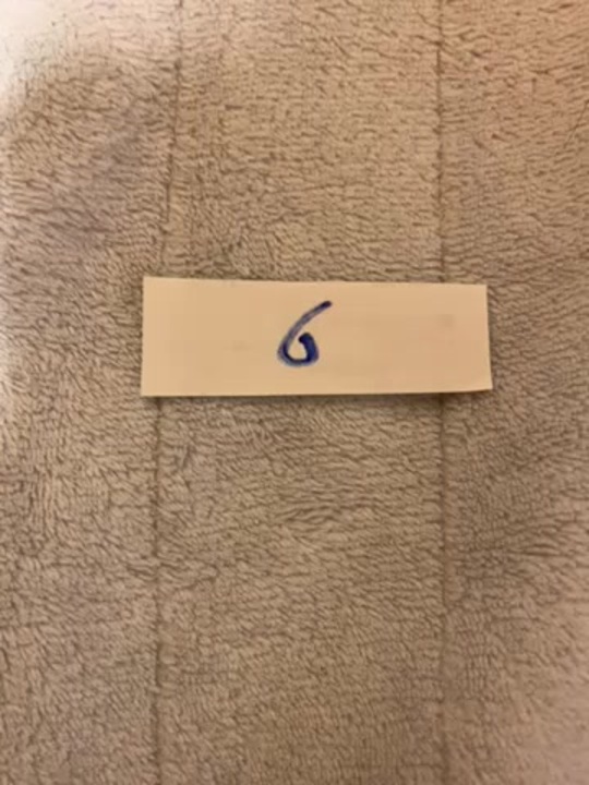 6 - ニコニコ動画