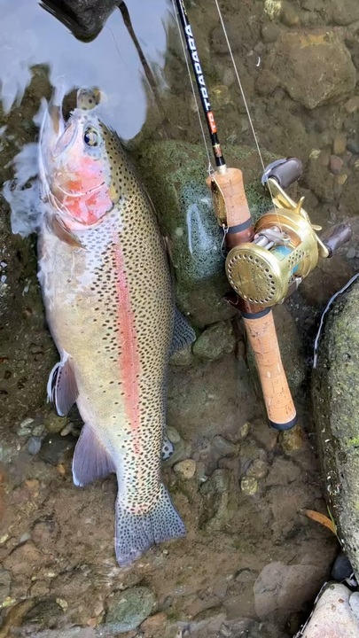 芝川にて ニコニコ