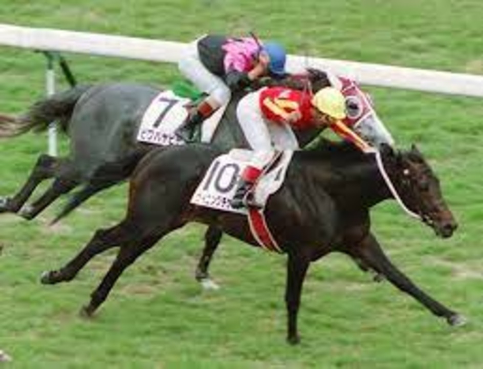 [激レア・レトロ]ウイニングチケット ダービー仕様 日本ダービー優勝記念 激レア・レトロ]ウイニングチケット ダービー仕様 日本ダービー優勝記念