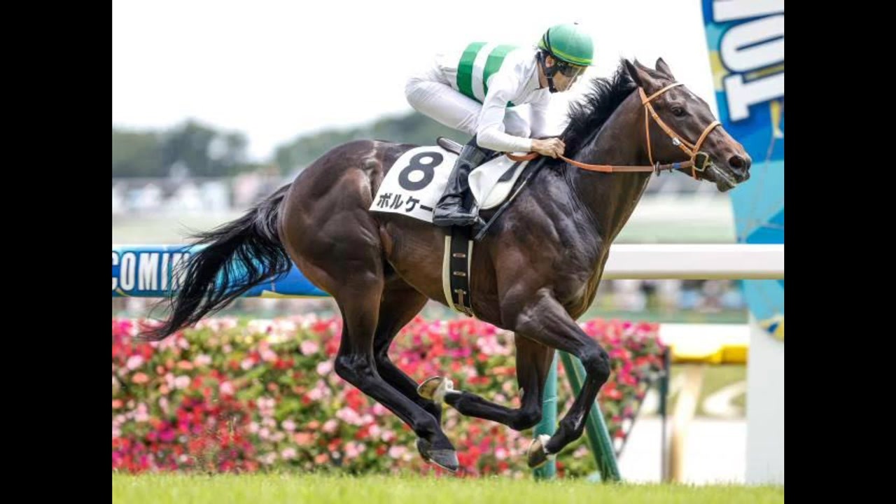 見事な ソールオリエンス メイクデビュー初勝利 現地馬券 ウマ娘