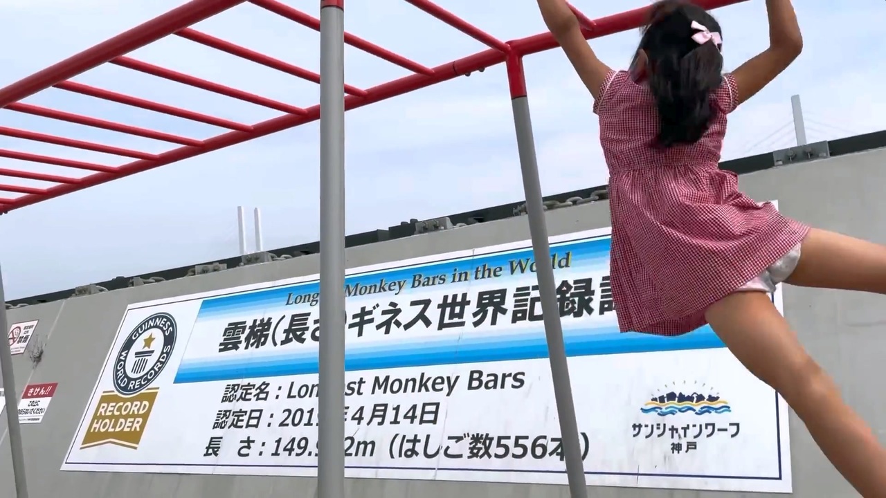 雲梯 - Monkey Bars -
