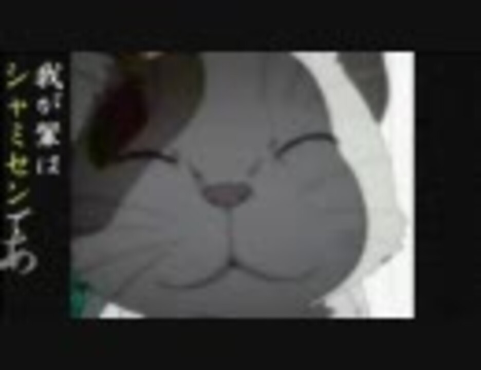 シャミセンの憂鬱 第11話 人間とはかくもエロい生き物なのか1 ニコニコ動画