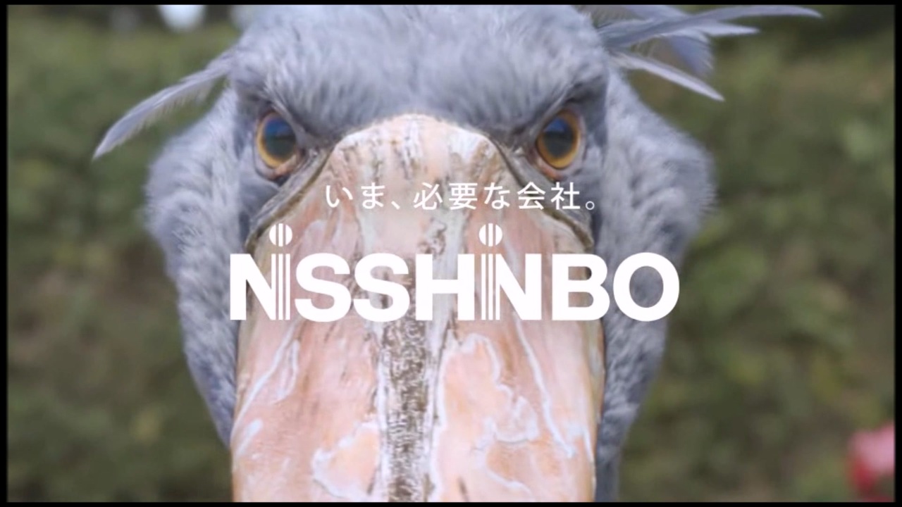 12500ーハシビロコウ様 誰もが知ってる[[NISSHINBO]]皆知らない - ニコニコ動画