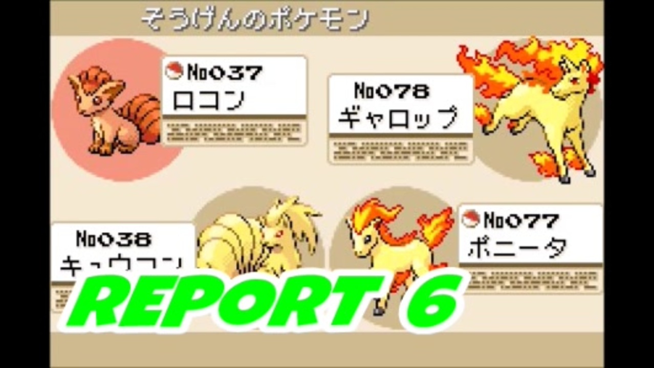 リーフ グリーン ロコン