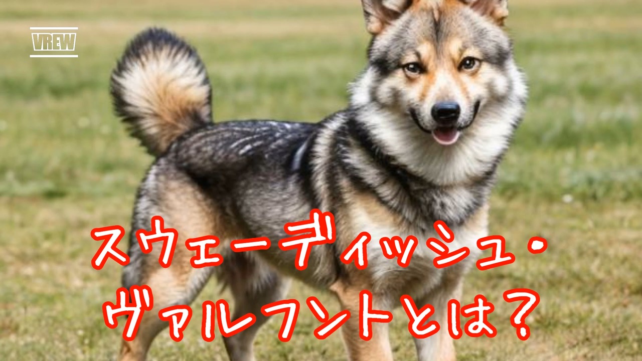 スウェーディッシュ・ヴァルフントとは？ ニコニコ動画