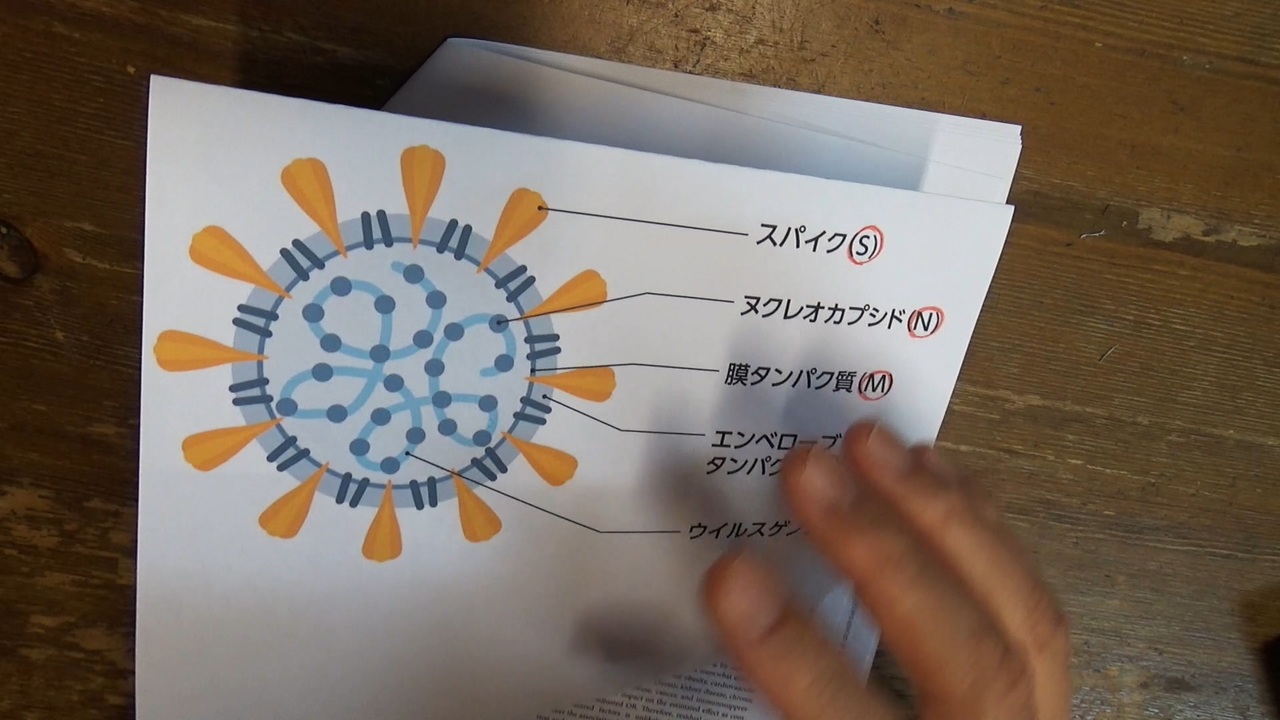 自然感染獲得免疫の方がワクチンより10倍強いという論文