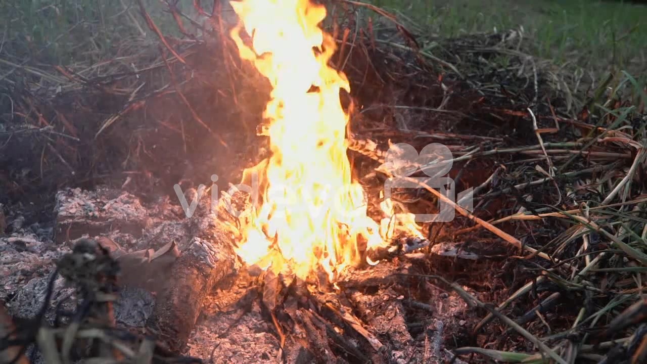 Yellow flames of fire arising from burning dry woods, leaves and straw ...