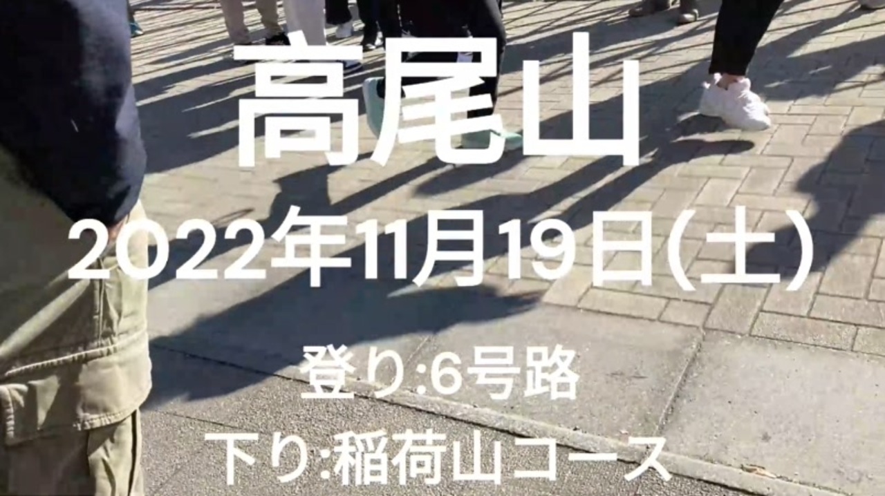 【高尾山】2022年11月19日(土) 登り 6号路 下り 稲荷山コース 【TAKAO】 - ニコニコ動画