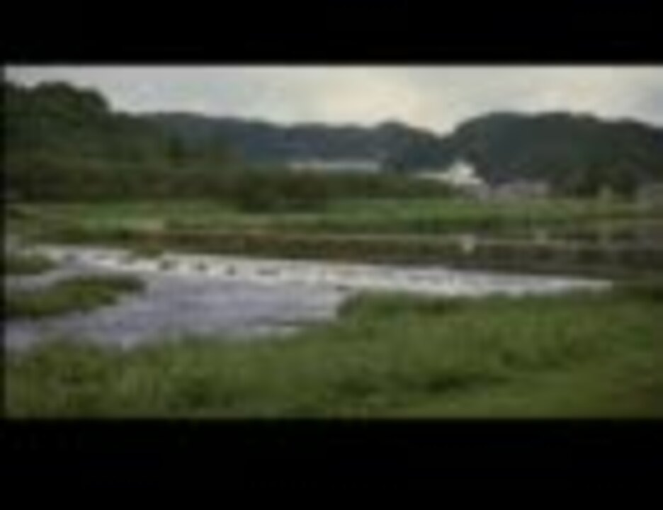 映画 うん 何 予告編 ニコニコ動画