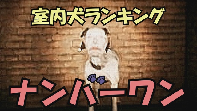 動画タグ検索「escape_the_backrooms」- ニコニコ動画