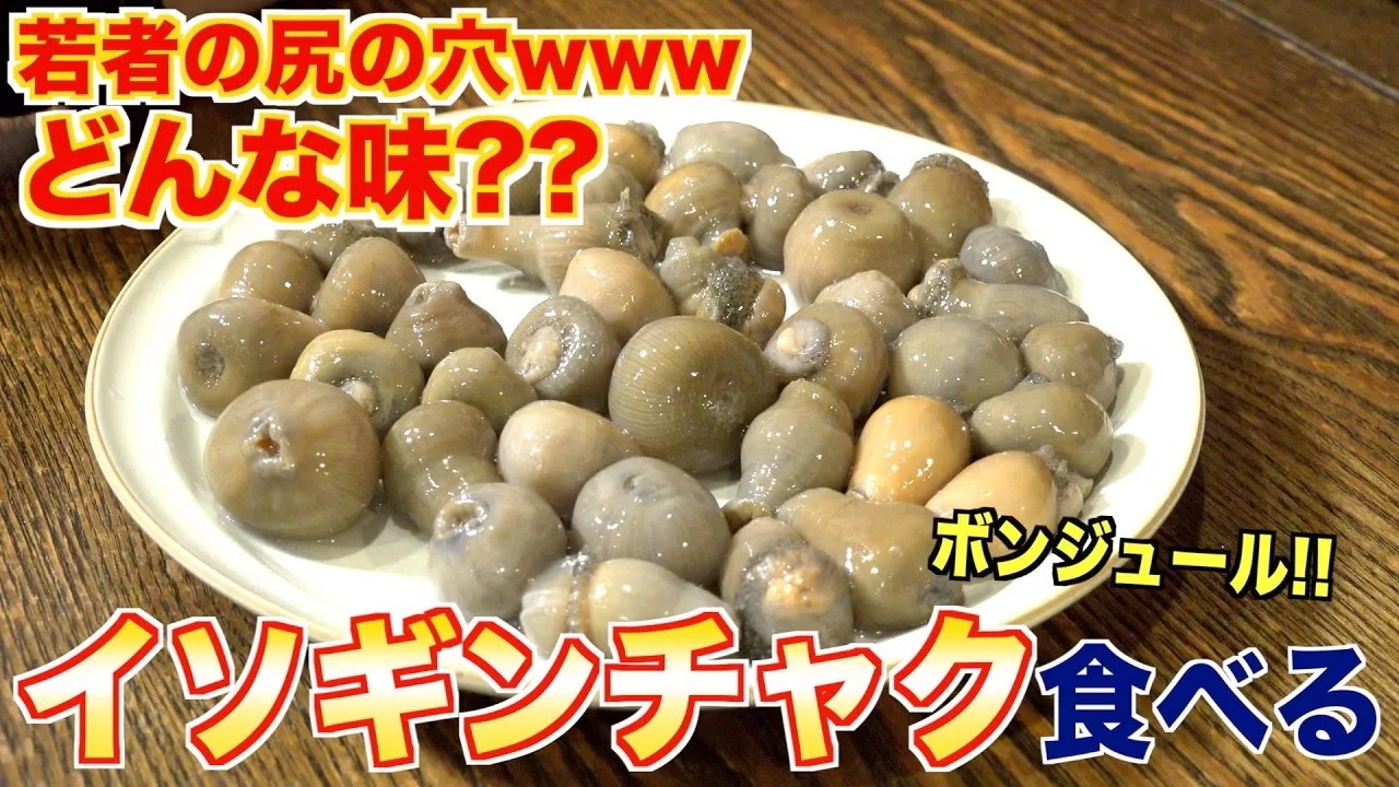 【若者の尻の穴】イソギンチャク食べてみた！ワケノシンノス - ニコニコ動画