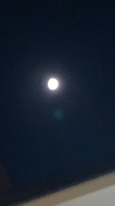 月 ニコニコ動画