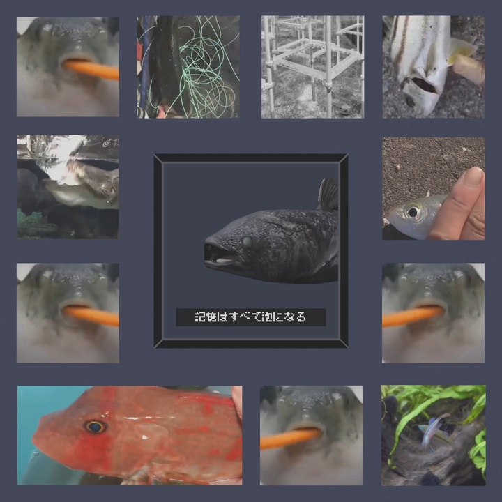 ラティメリア ニコニコ動画