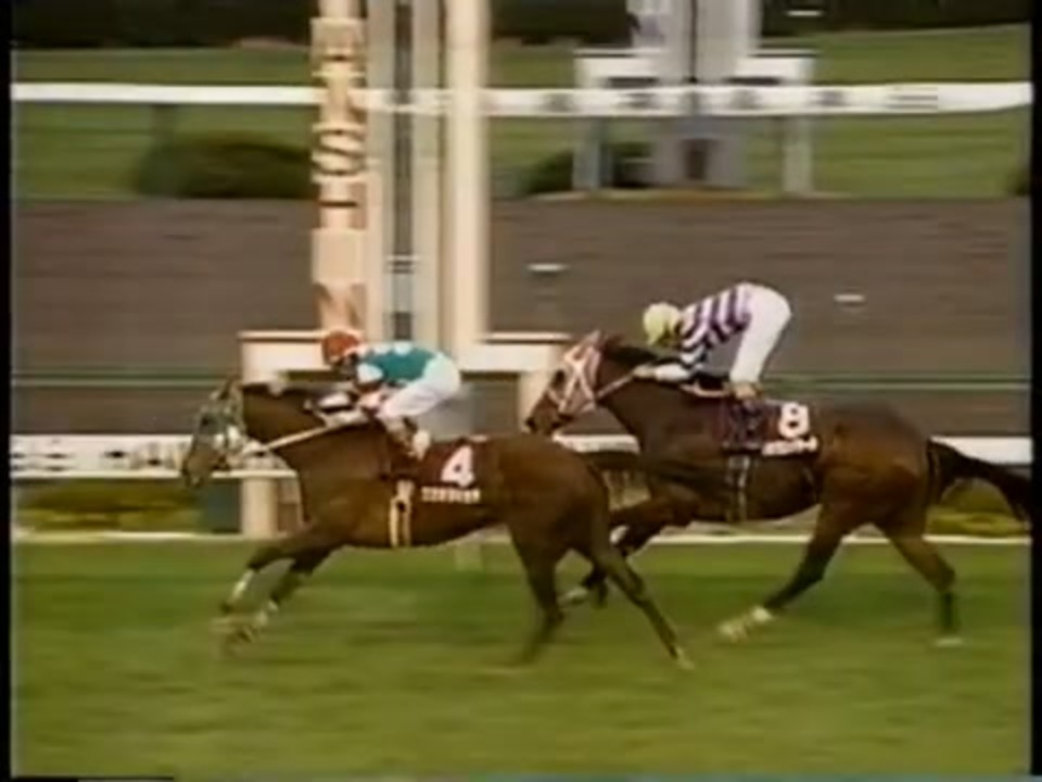 現地購入的中単勝馬券【99年マイラーズカップ】エガオヲミセテ maxresdefault.jpg