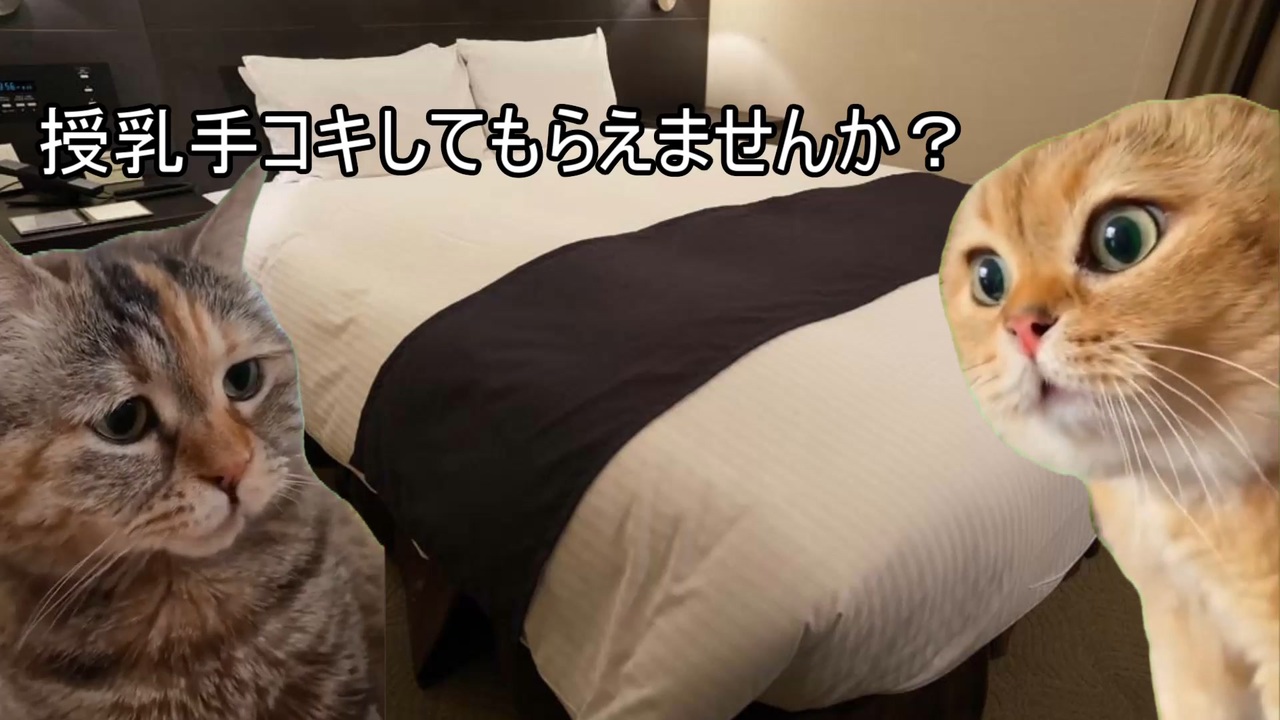 【猫ミーム】風俗でKカップの嬢と遊んだ話 - ニコニコ動画