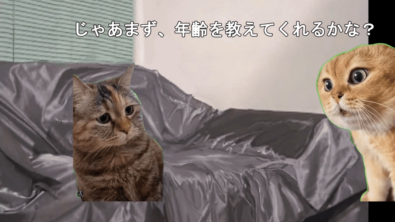 猫ミームと化した野獣先輩インタビュー - ニコニコ動画