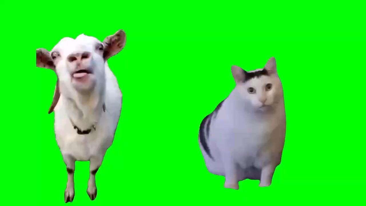 猫ミーム ヤギ＆は？の猫 - ニコニコ動画