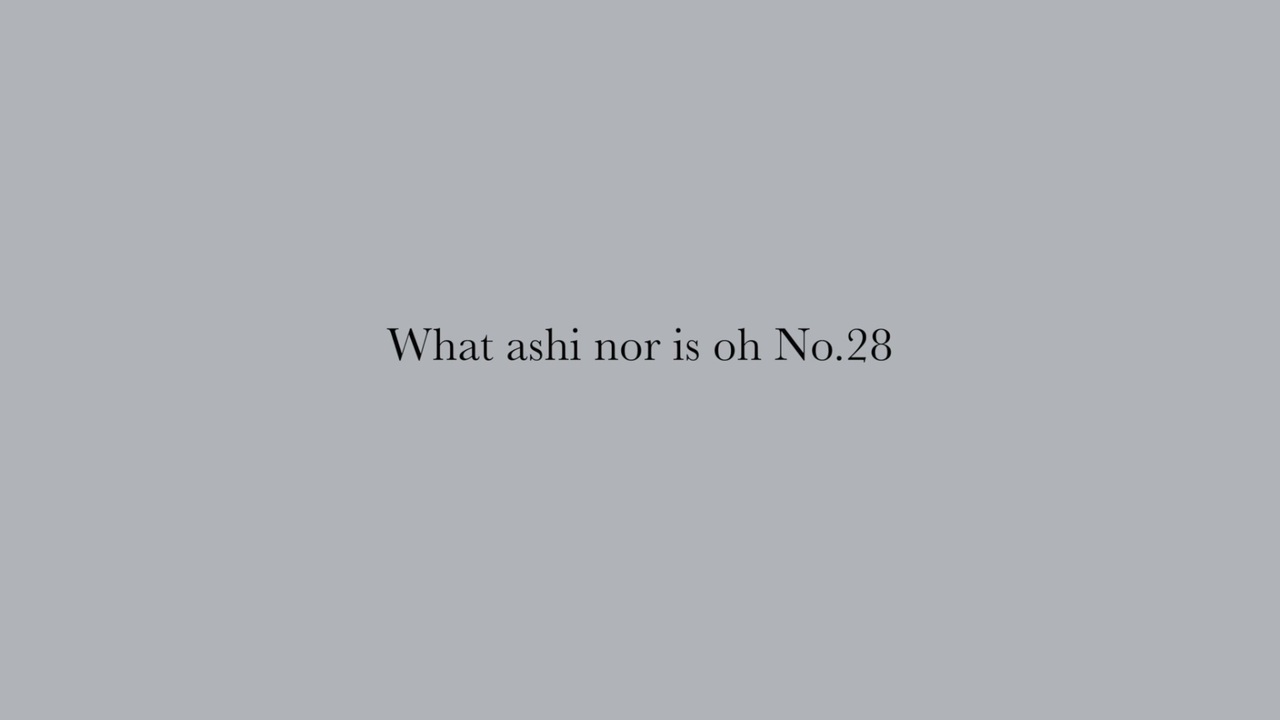 What ashi nor is oh No.28 - ニコニコ動画
