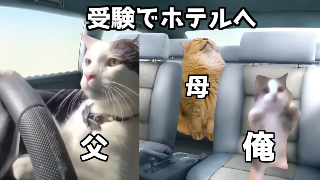 【猫ミーム】飯ぬき受験 ニコニコ動画 【猫ミーム】飯ぬき受験 ニコニコ動画