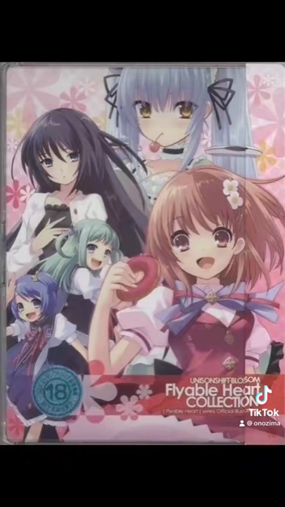 Flyable Heart