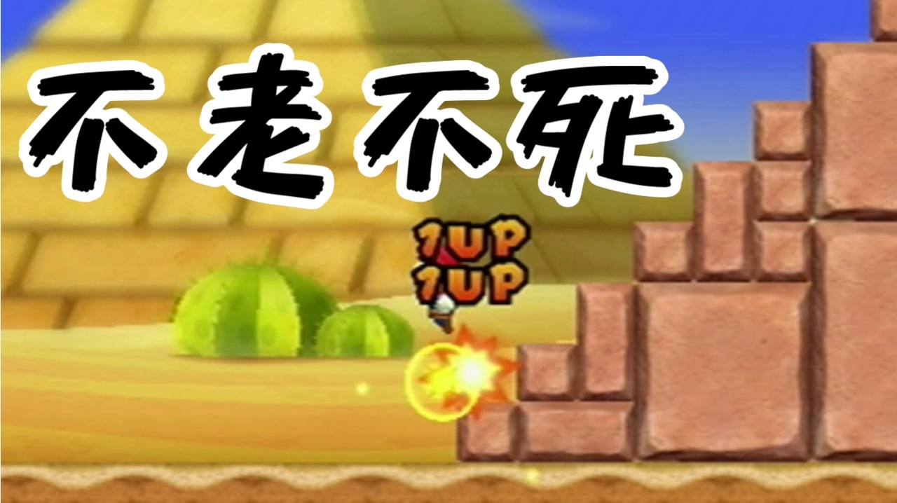 無限1UPが無限大な夢すぎる マリオ＃5【Wiiマリオ】