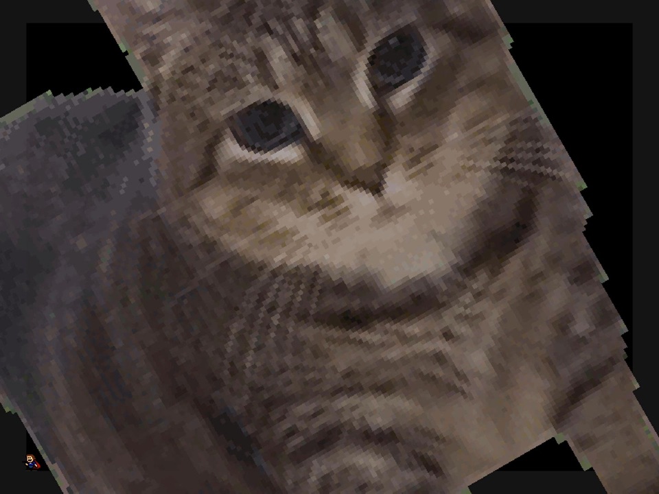 I Wanna OIIAOIIA - Oiiaioooooiai cat meme psytrance remix - ニコニコ動画