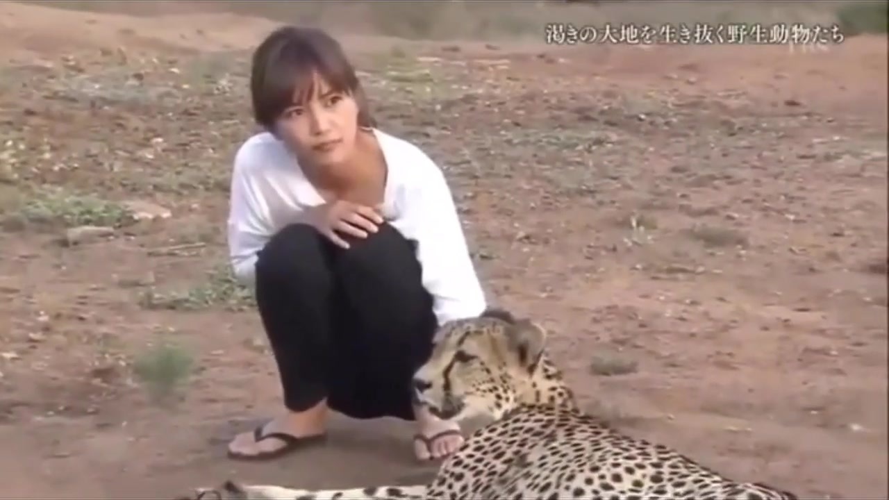 川口春奈 チーター