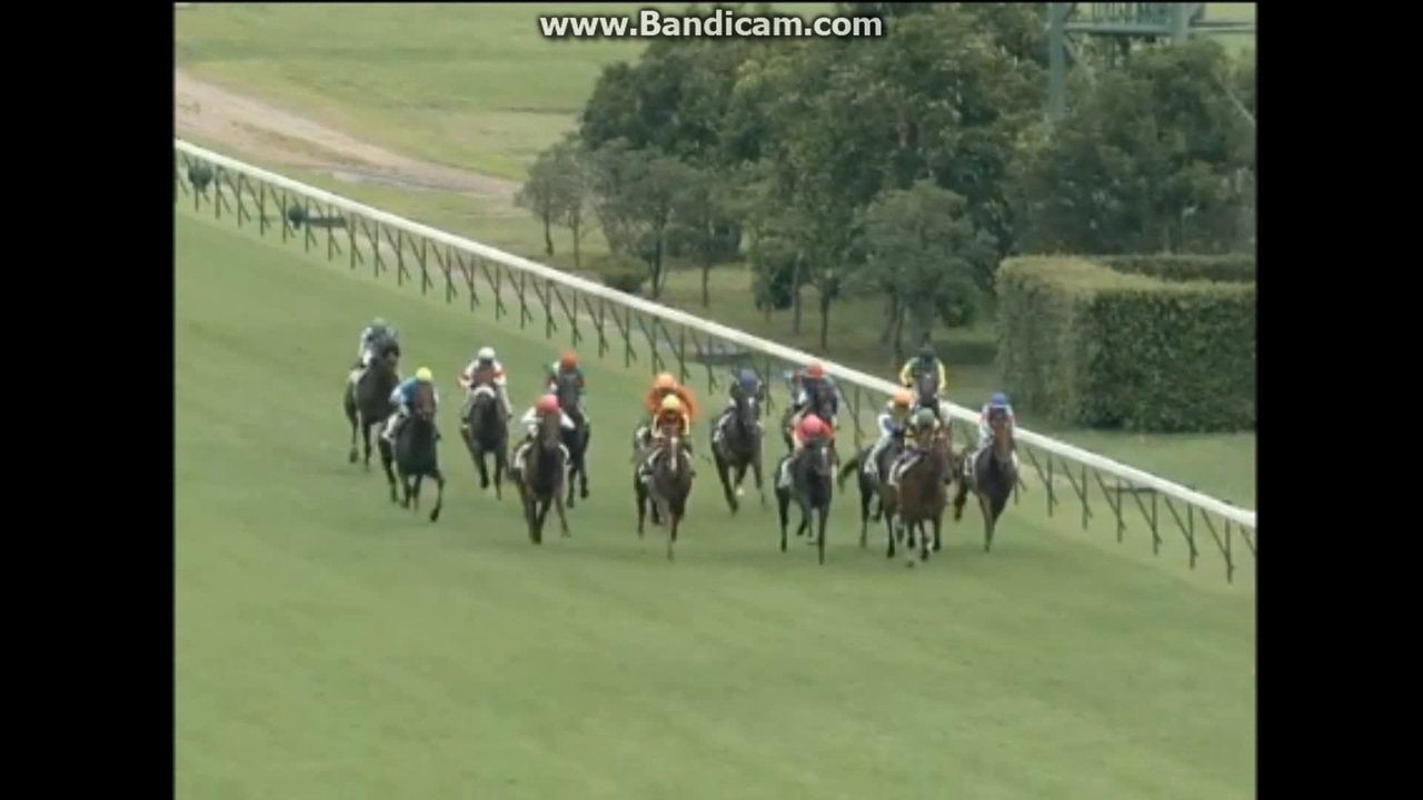 オルフェーヴル 新馬戦 単勝馬券 2010年8月14日 新潟 2010. 8.14 新馬 オルフェーヴル - ニコニコ動画