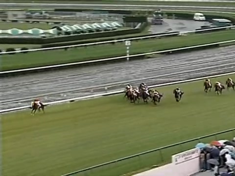 スプリンターズステークス（2004）カルストンライトオ 本場馬
