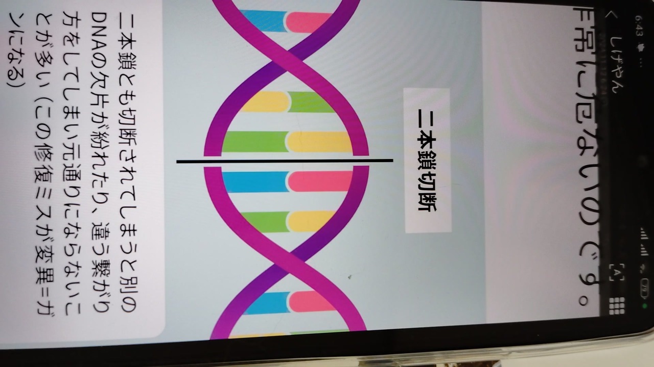 静かに炸裂する【第3発目の原爆】の害毒とは?1000002630 - ニコニコ動画