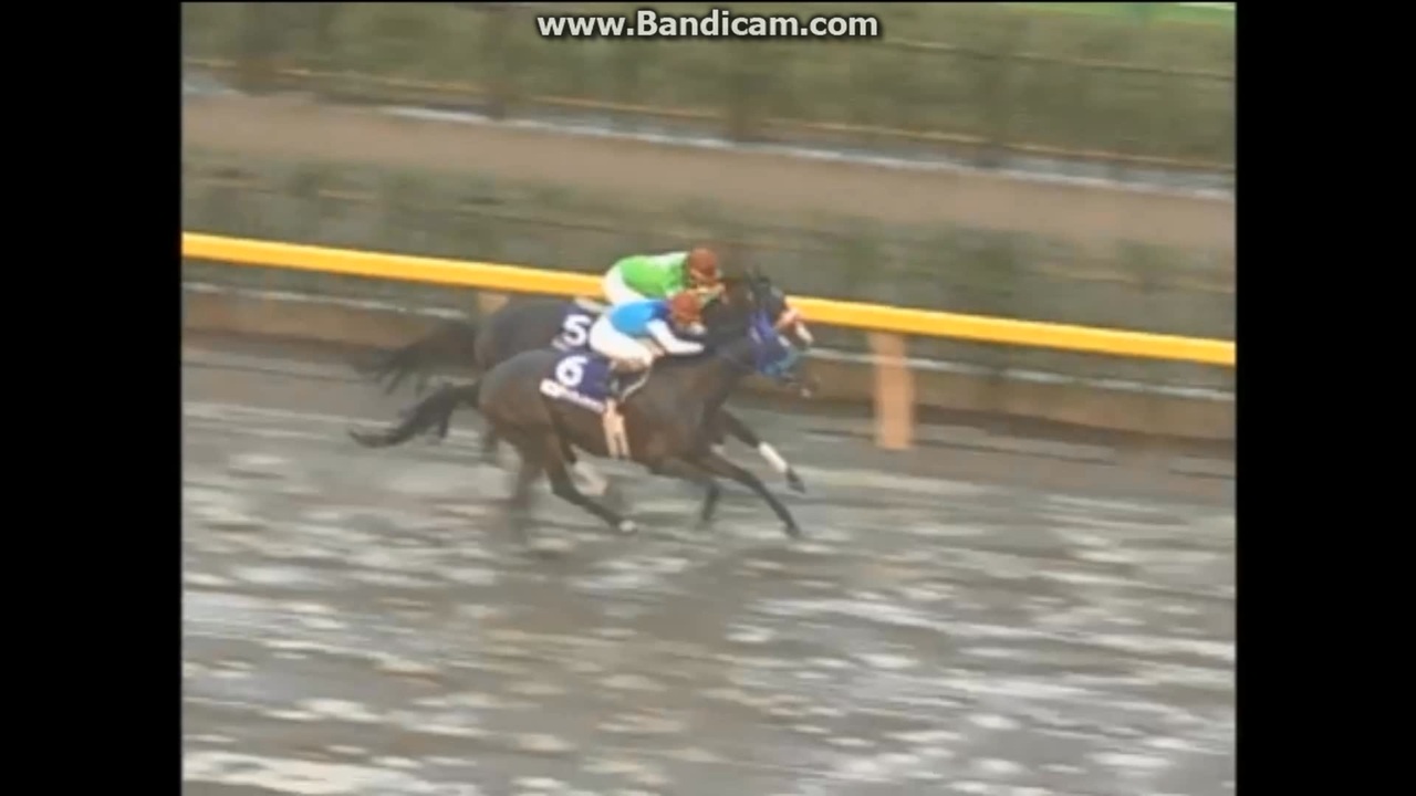 【期限切れ単勝馬券】　ジャパンカップダート　2003 フリートストリートダンサ 2003 ジャパンカップダート (GI) フリートストリートダンサー