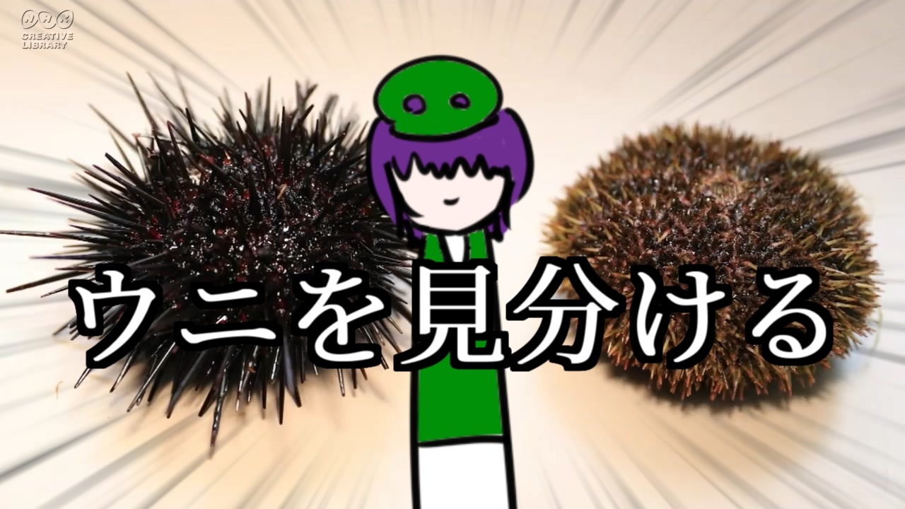 【凶街モルテ】ウニの見分け【実況】