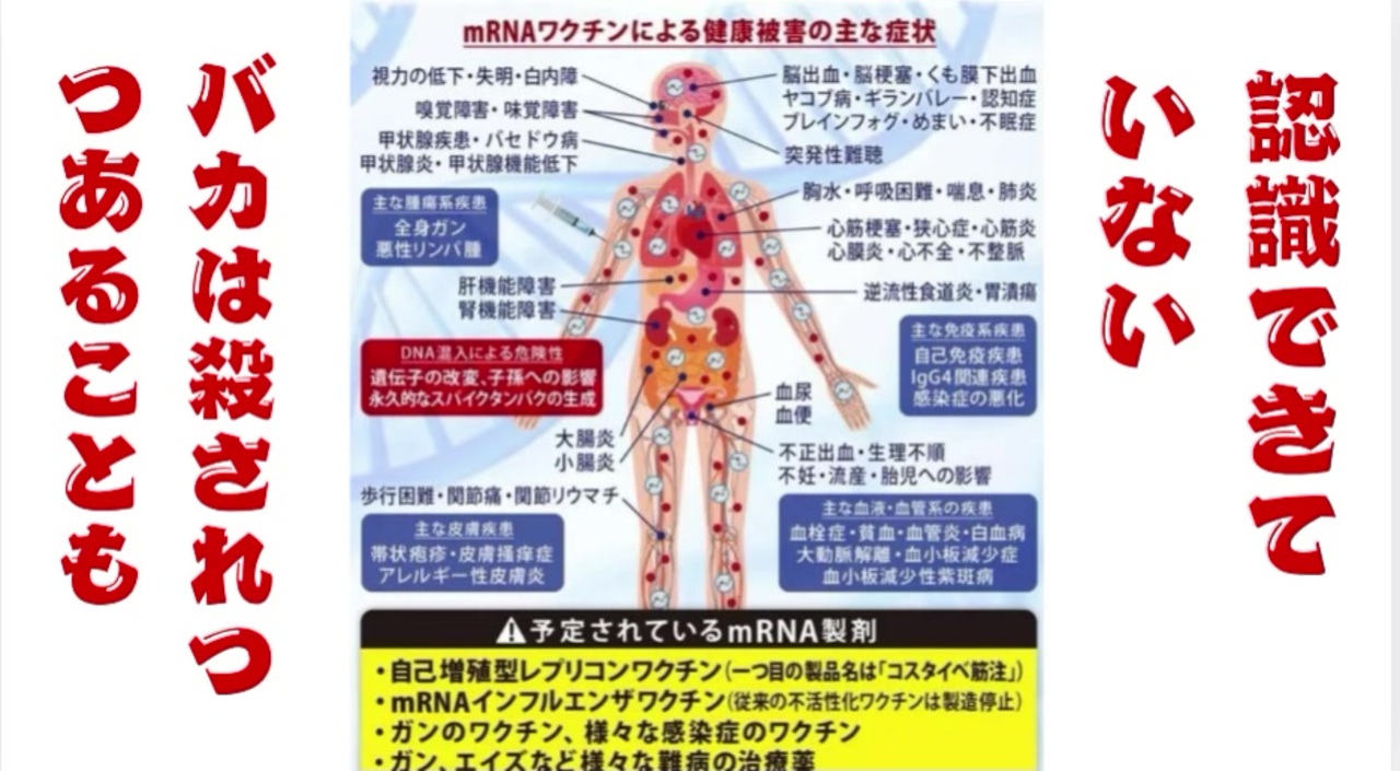 バカは殺されつつあることも認識できていない　#毒ワクチン解毒方法　#そのまま放置は数年内に死ぬぞ - ニコニコ動画