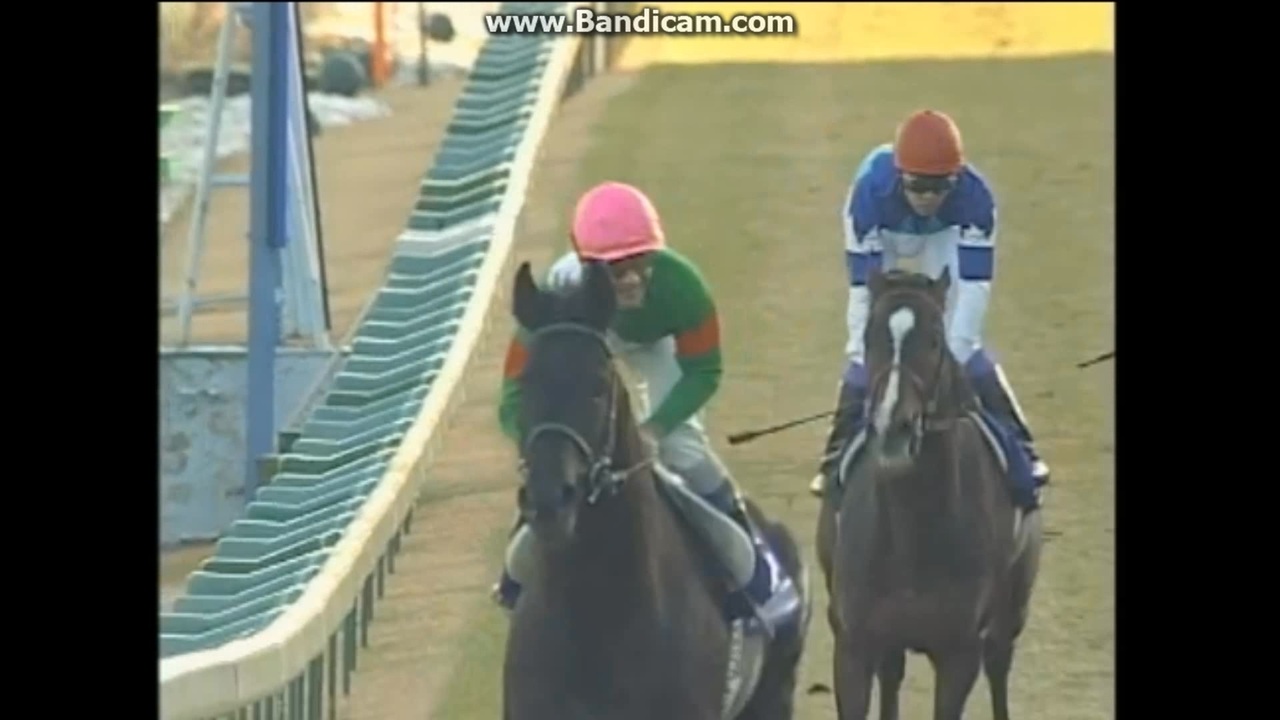 2003 有馬記念（GⅠ）シンボリクリスエス - ニコニコ動画