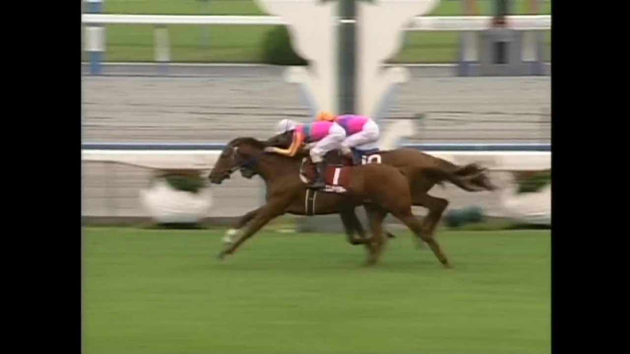 2000年 京都大賞典(GⅡ) テイエムオペラオー - ニコニコ動画