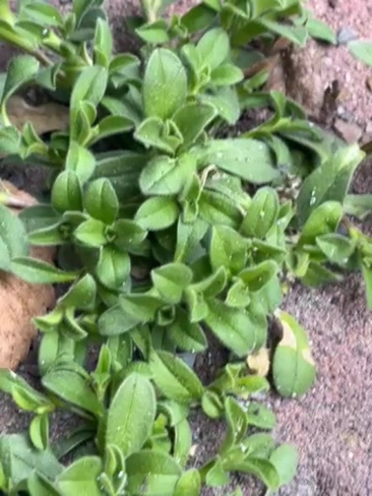 76311170437-798c6d0c-c7d0-4624-a7f9-64a3b3a94f23