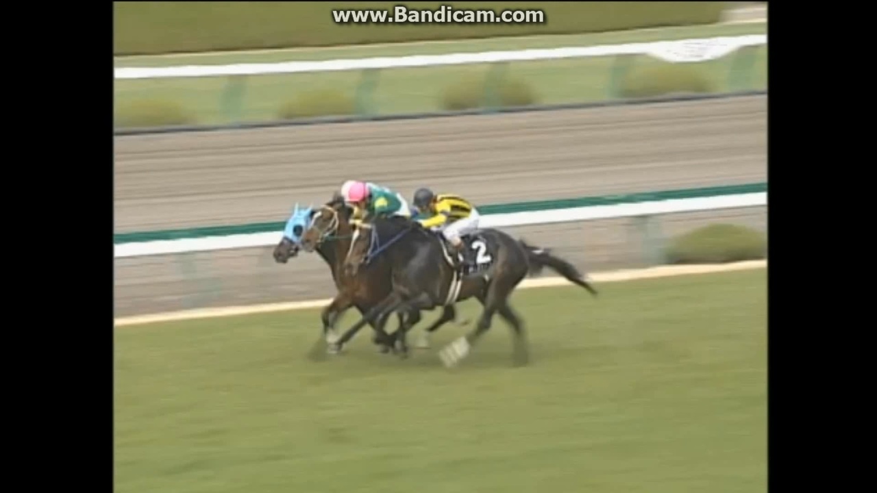 2004 若葉ステークス(OP) ハーツクライvsスズカマンボ - ニコニコ動画