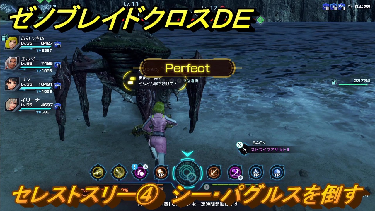 ゼノブレイドクロスDE ノーマルクエスト セレストスリー④ シー