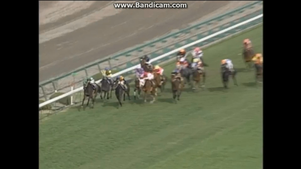 1994 桜花賞 (GI) オグリローマン - ニコニコ動画