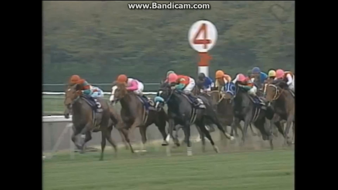 テイエムオペラオー　99年 皐月賞　的中単勝馬券含む全18頭セット　18枚　美品 テイエムオペラオー 1999年 有馬記念 単勝馬券 Yahoo