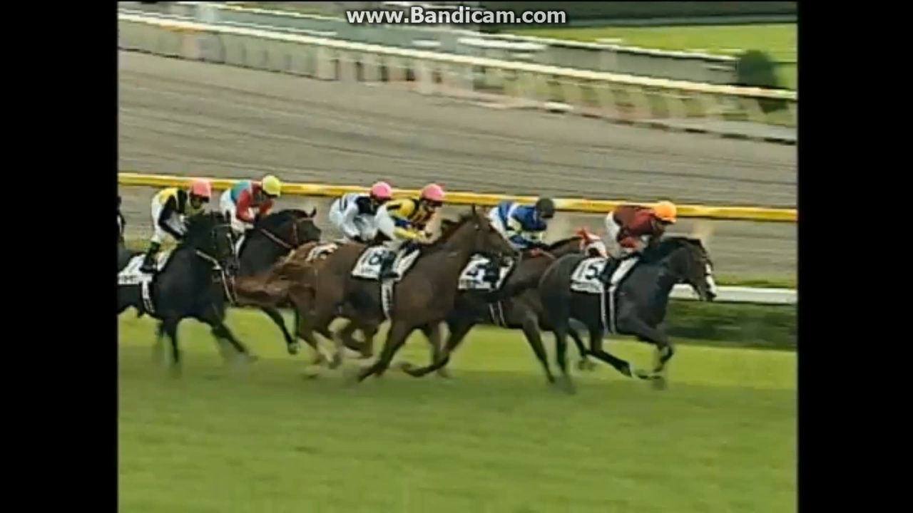 2002 日本ダービー (GI) タニノギムレット - ニコニコ動画