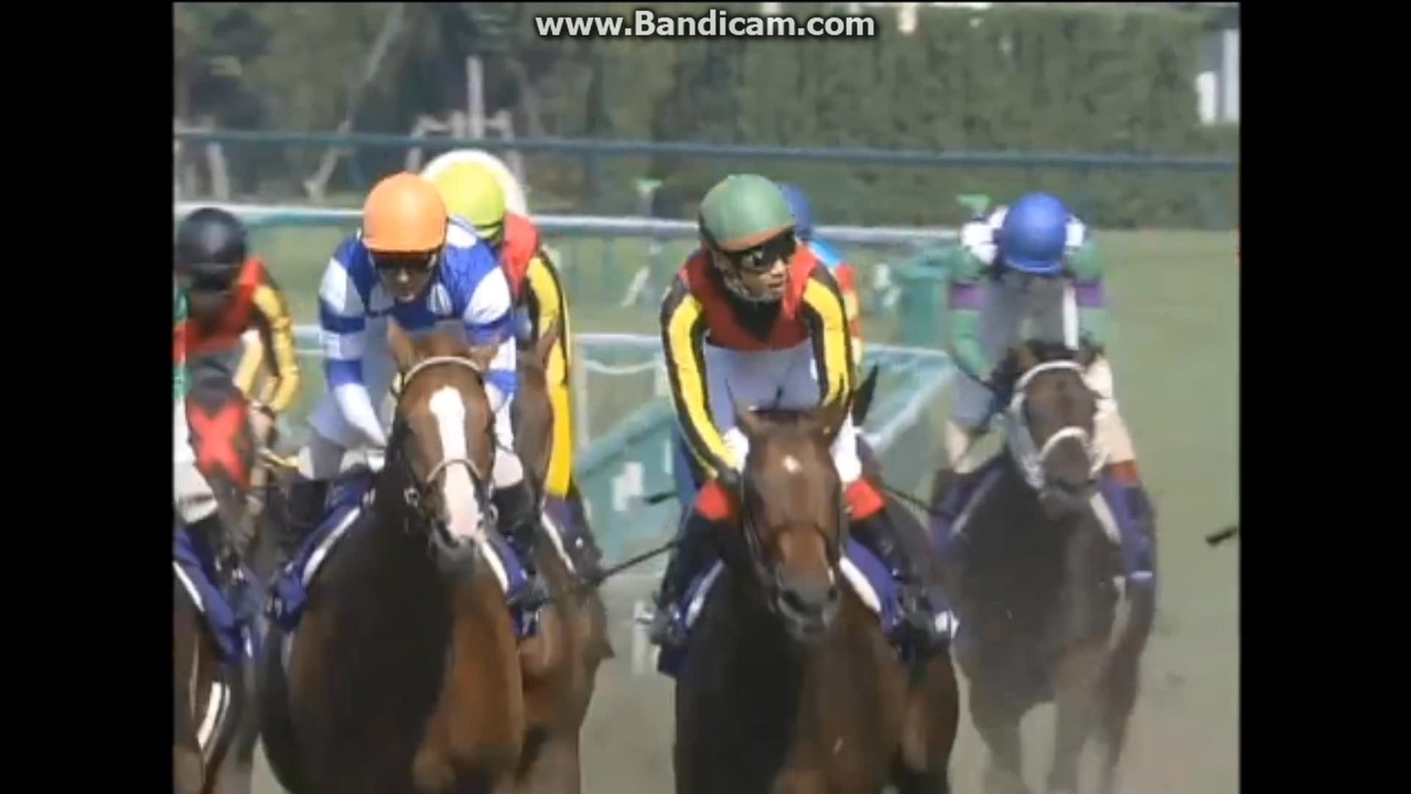 期限切れがんばれ馬券】 有馬記念 2009 ドリームジャーニー 有馬記念