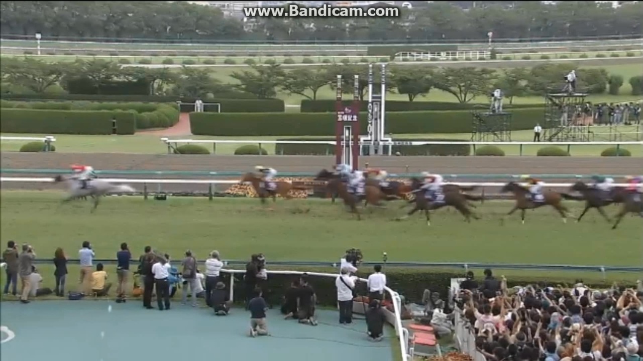 2014 宝塚記念 (GI) ゴールドシップ 2014 TAKARAZUKA KINEN G1