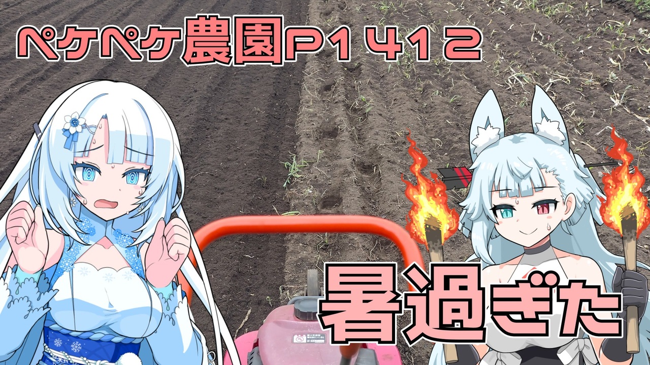 2025年7月5日 農作業日誌P1411 猛暑の為、休憩多目になってしまったら