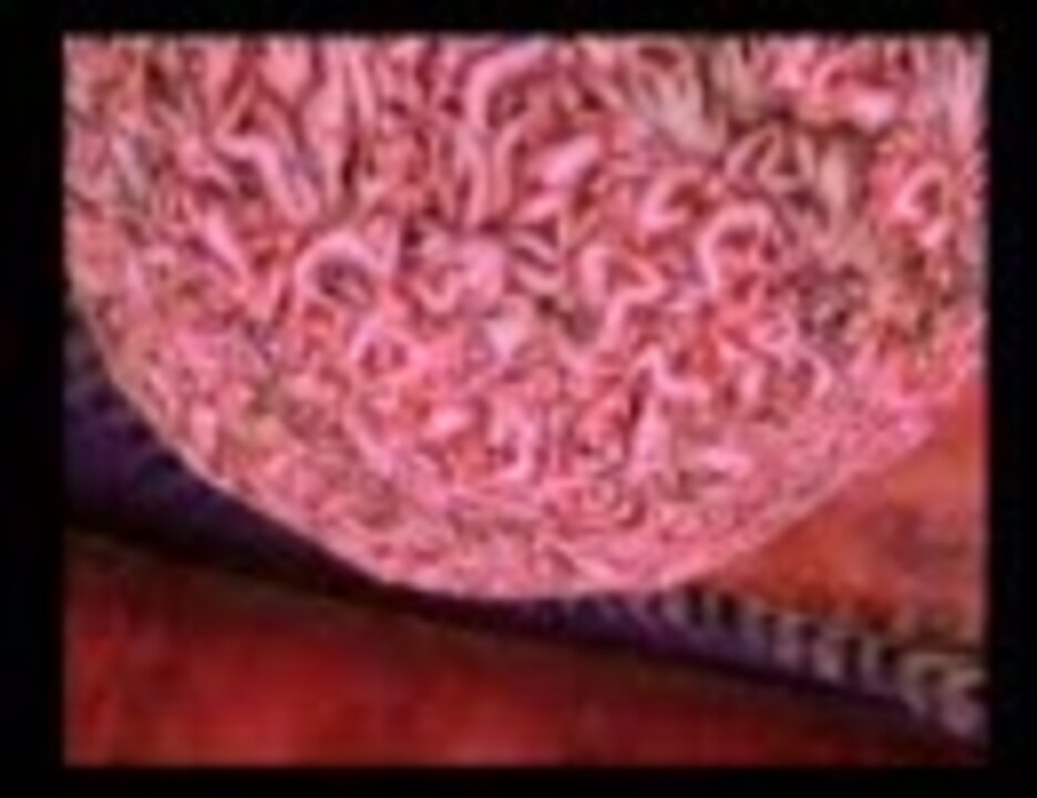 人気の 悪魔城ドラキュラ闇の呪印 動画 85本 ニコニコ動画