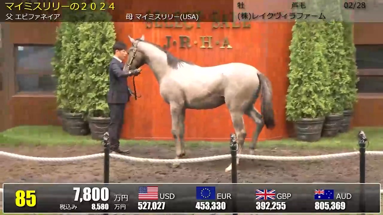 ソニーエンジェル　年賀状　馬　午　2014年　ウマ Akihiko Takeda. on X: 