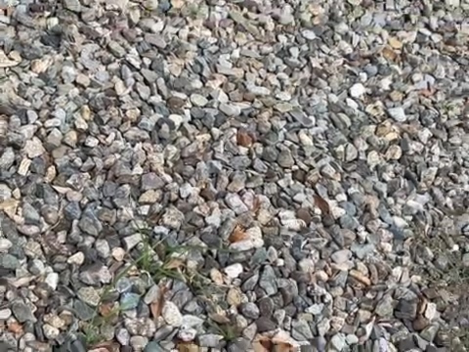 78098125966__4A27E1A4-3110-4436-9D27-3F112DF09990 - ニコニコ動画